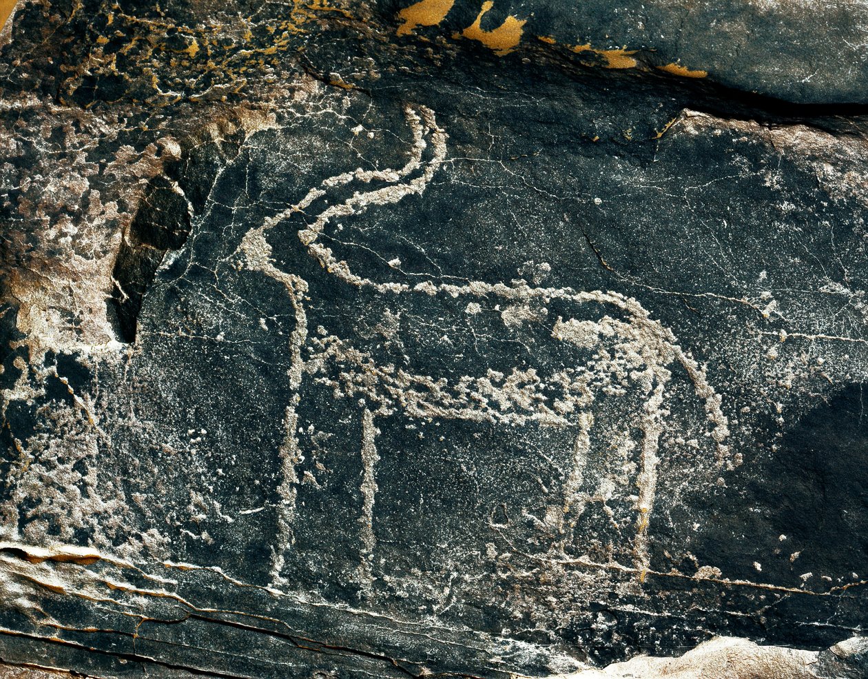 先史時代、ロックアート：アンテロープの表現の墓石。石器時代の紀元前5000-2000年。アルジェリア、ホッグガル高原（アハガル）、タギット 作： 先史時代先史時代