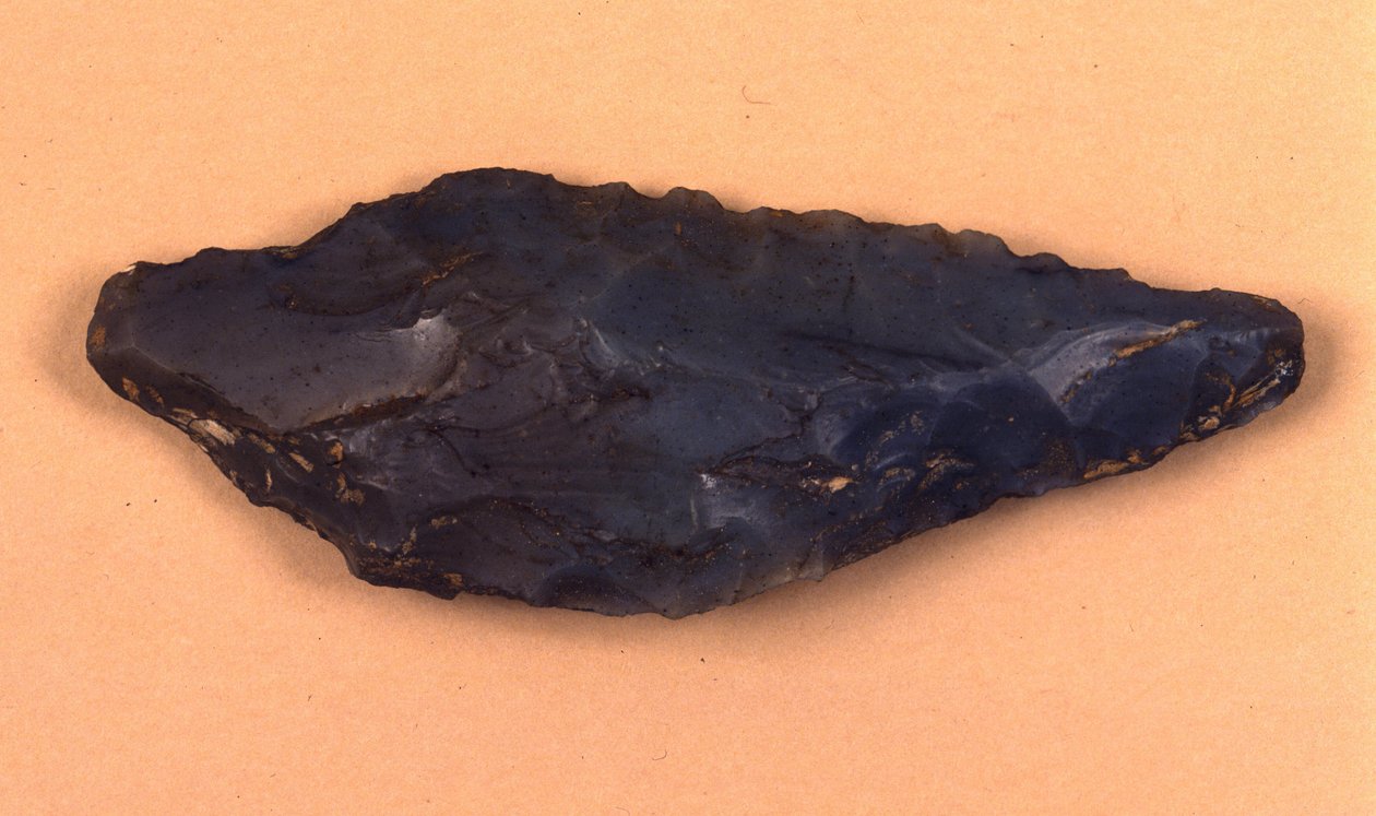 イタリアのイゾリーノ・ディ・ヴァレーゼで発見された石鏃（せきぞく）。 作： 先史時代先史時代