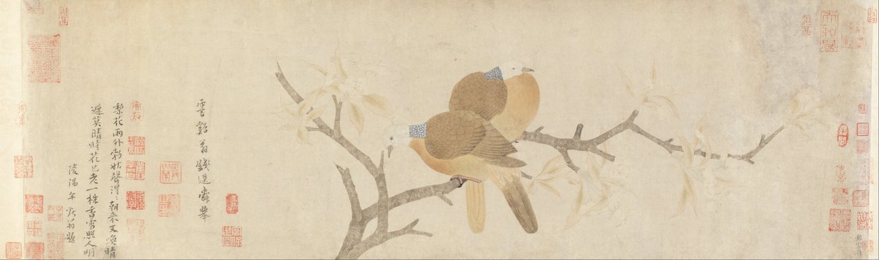 雨上がりの鳩と梨の花 作： 銭玄