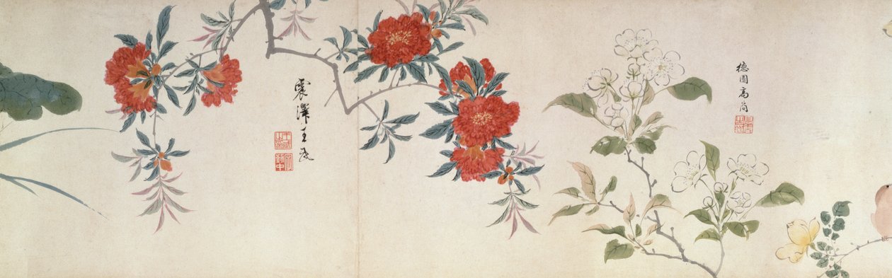 花、絵巻（紙に墨、彩色） 作： 清王朝の中国語学校