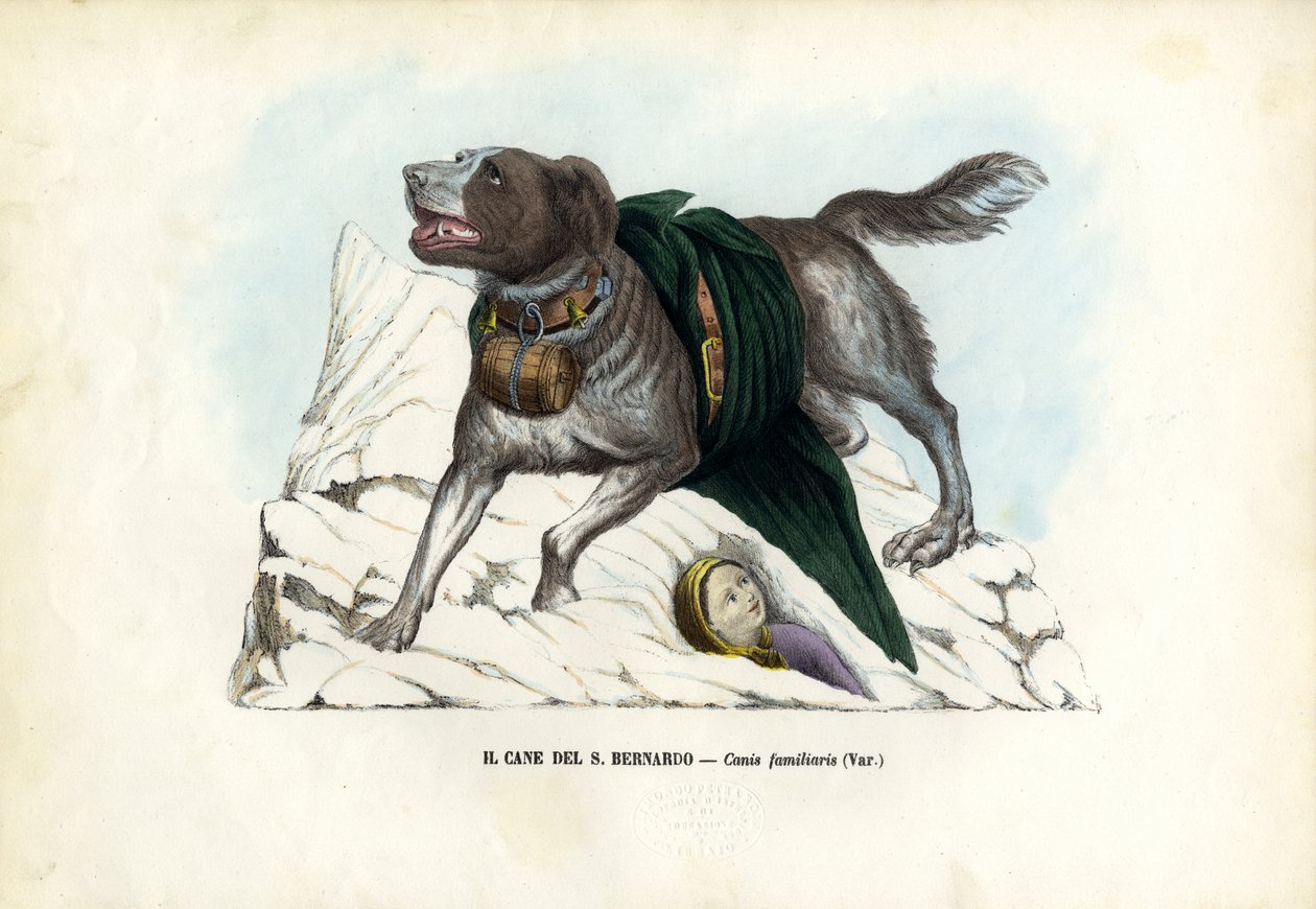 犬、1863-79 作： ライムンドペトラロイア