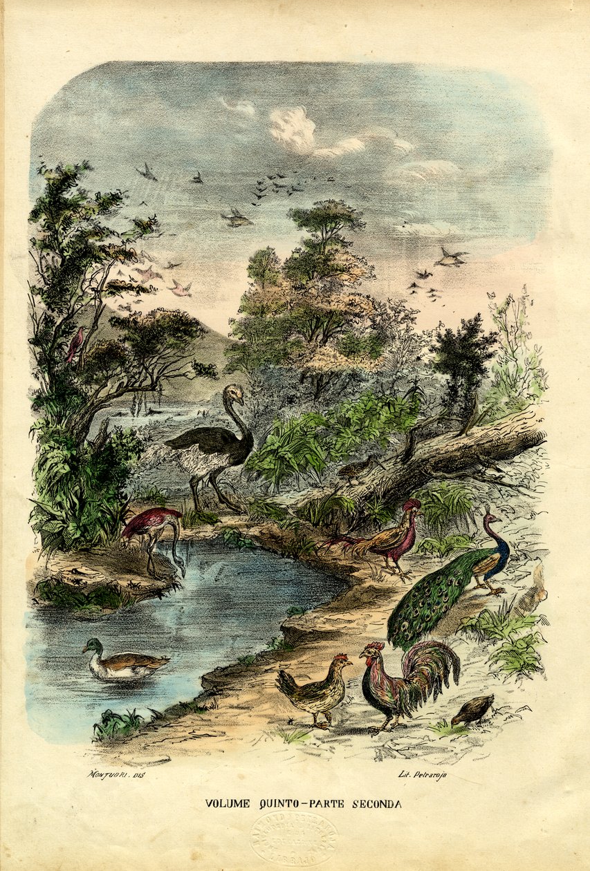 タイトルページ、1863-79 作： ライムンドペトラロイア