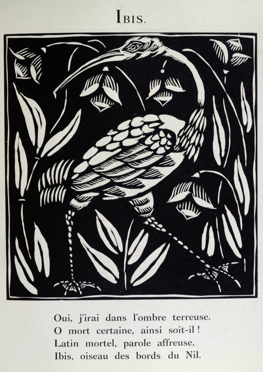 トキ、ギョーム・アポリネール（1880-1918）の「獣戯画」または「オルフェウスの行列」の挿絵、1911年（木版画） 作： ラウル・デュフィ