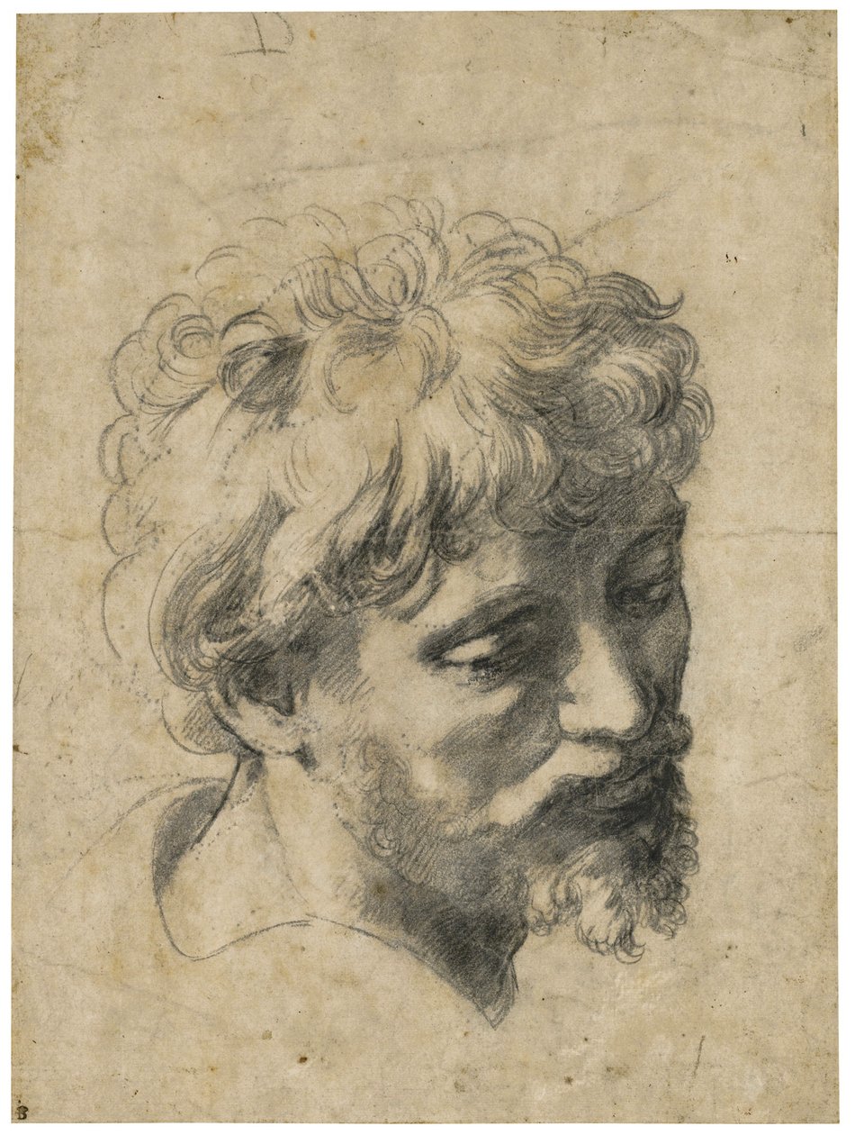 "若い使徒の肖像"（若い使徒の頭部） 紙に木炭 ラファエロ（Raffaello Sanzio）（1483-1520） 個人蔵 作： ラファエル