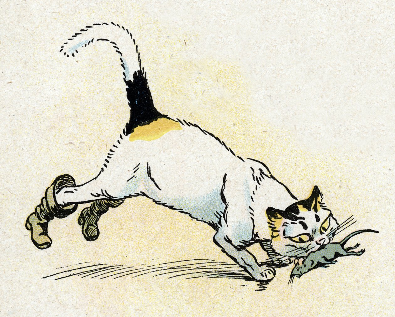 シャルル・ペロー童話の挿絵 "Le Chat Botte"（挿絵）1920年頃 作： レイモン・ド・ラ・ネジエール