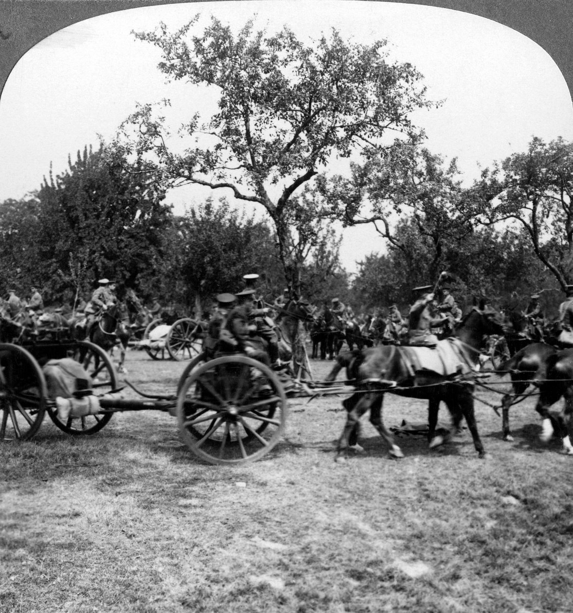 馬が引く砲兵、第一次世界大戦、1914-1918。 作： 現実的な旅行出版社