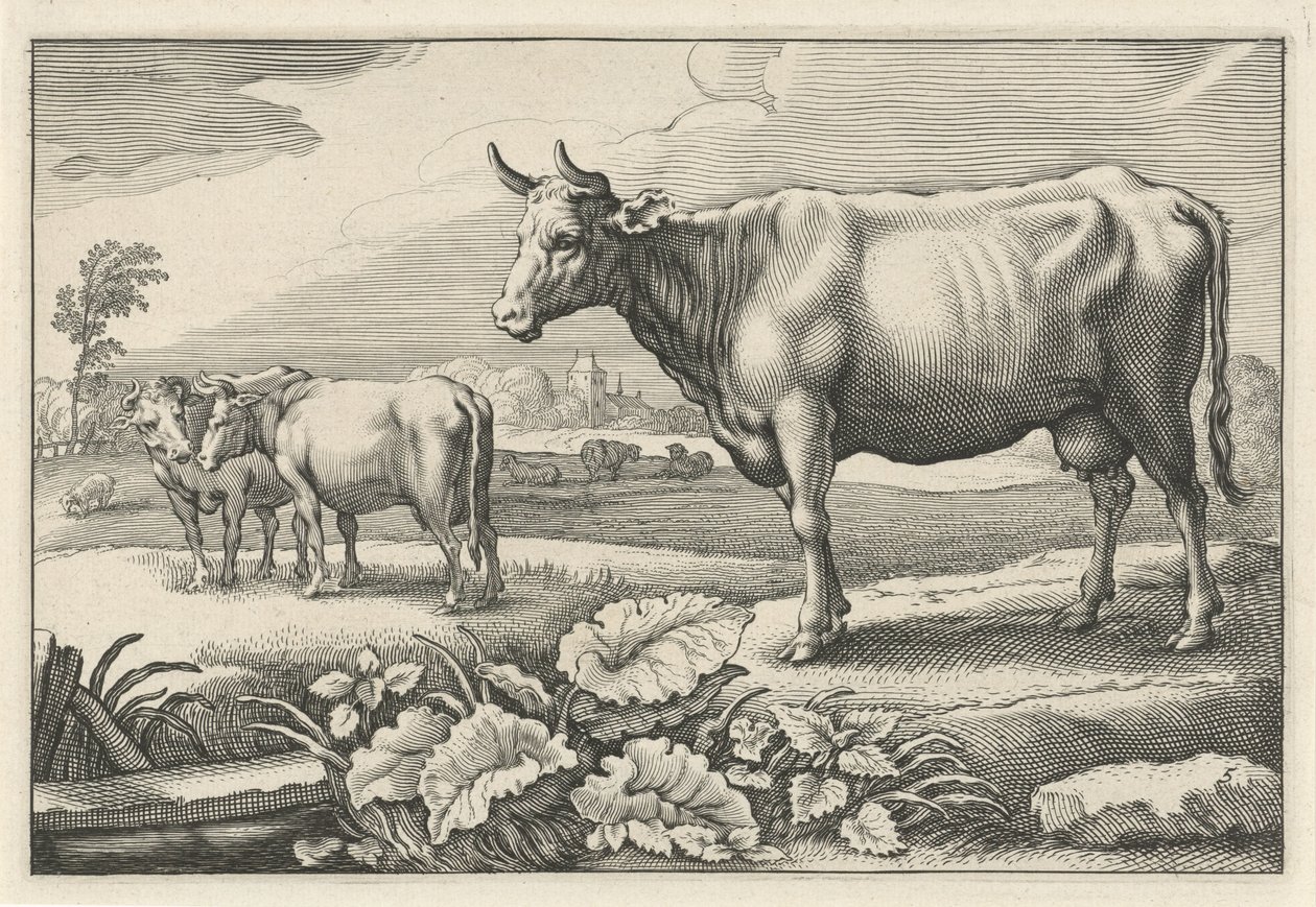 牛のいる牧草地 Diversa Animalia Quadrupedia (シリーズタイトル) 作： レイニエ・ファン・ペルジン