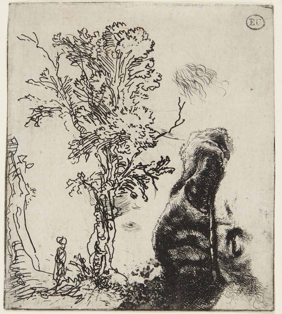 2点の習作が収められた一枚の画紙：『木』と『ベルベットの帽子をかぶった自画像の上半身』 作： レンブラント・ファン・レイン