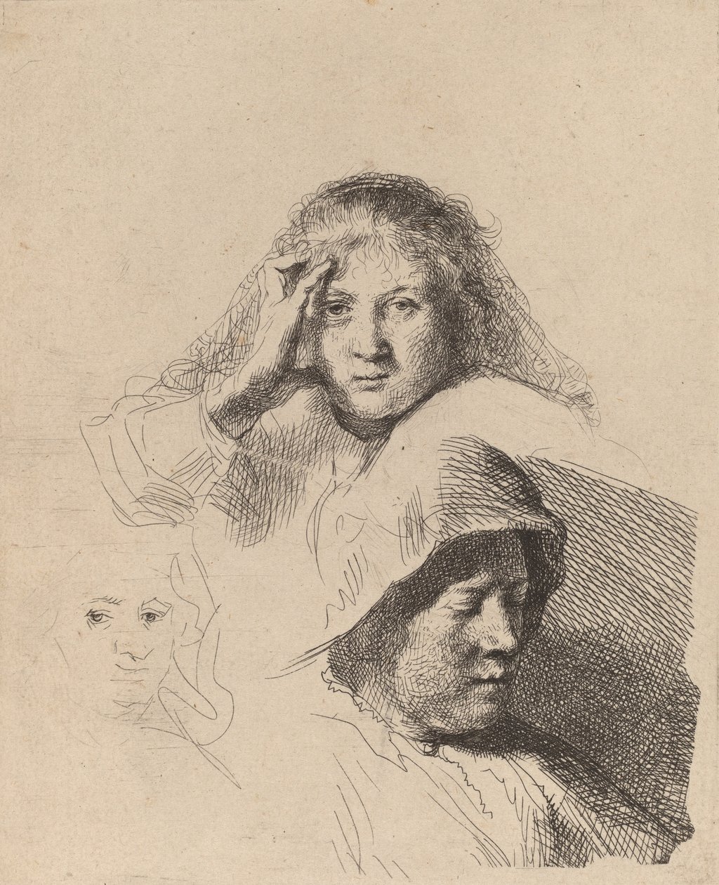 3 つの女性の頭部、1 つは軽くエッチングされたもの、c. 1637年。 作： レンブラント・ファン・レイン