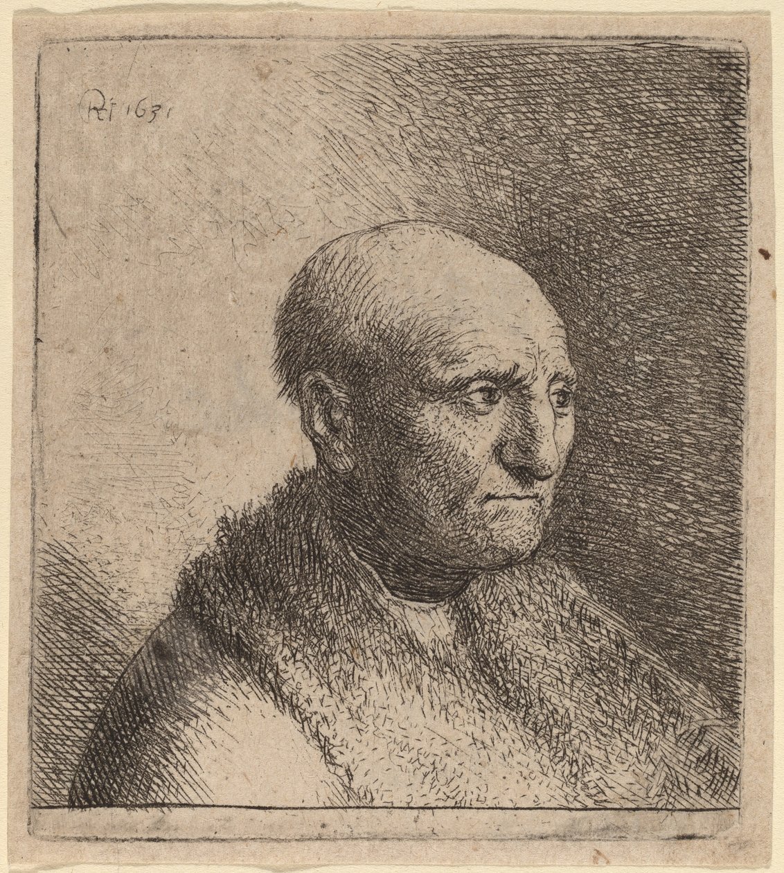 毛皮のマントを着たハゲ男 作： Rembrandt vanRijnとStudioof Rembrandt