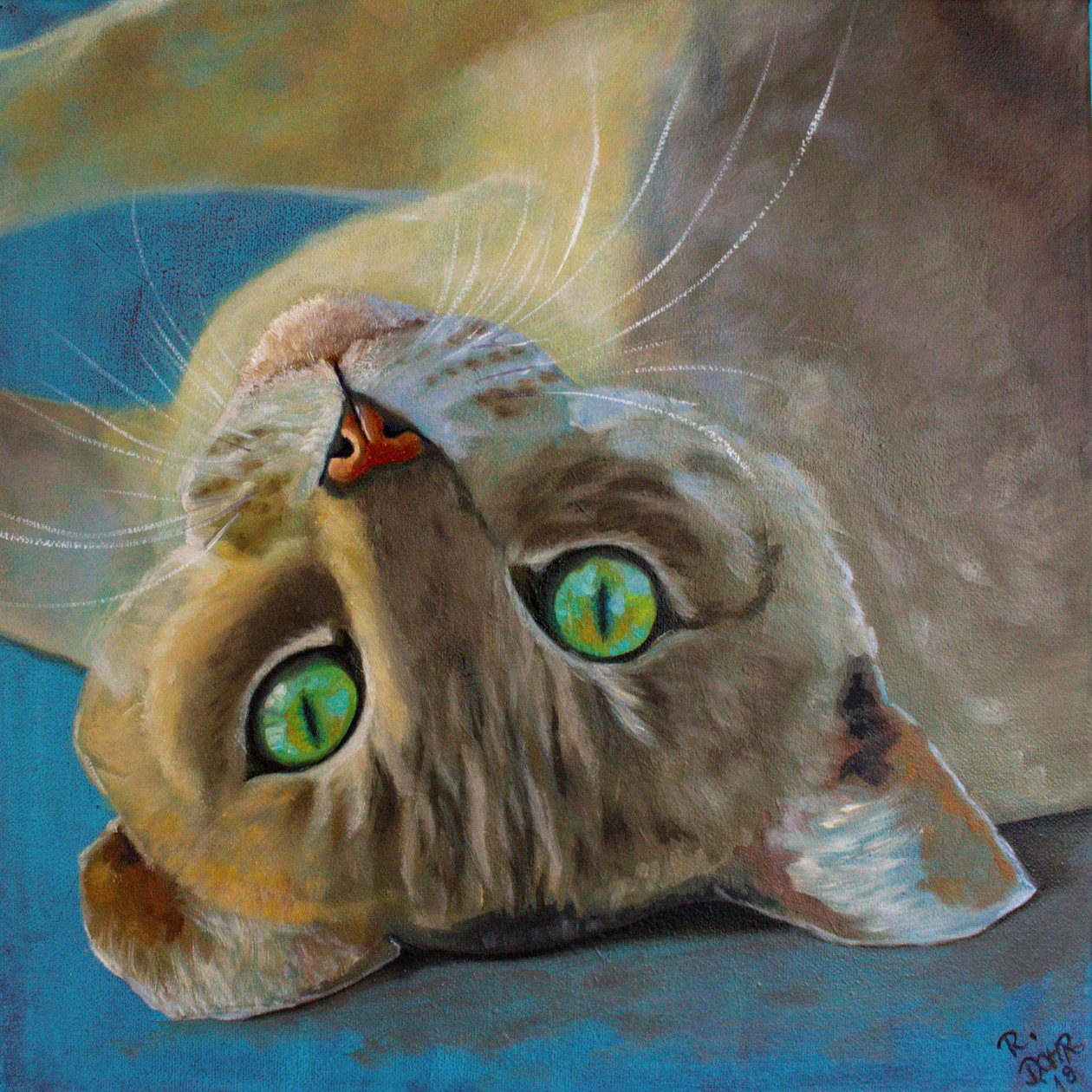 猫の運 作： Renate Dohr