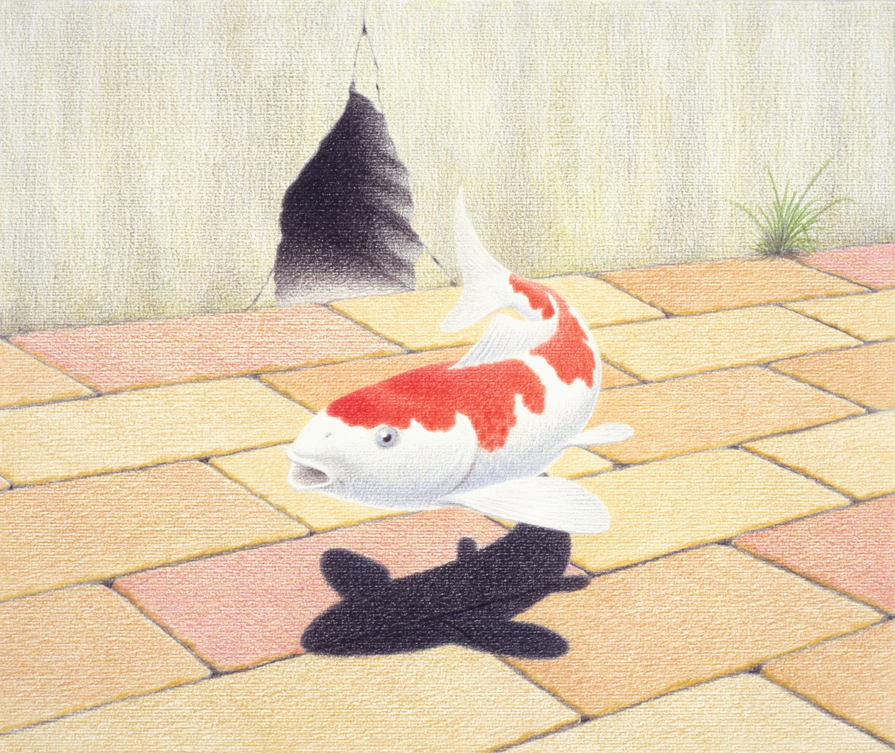 鯉 作： ルネ・ボアン
