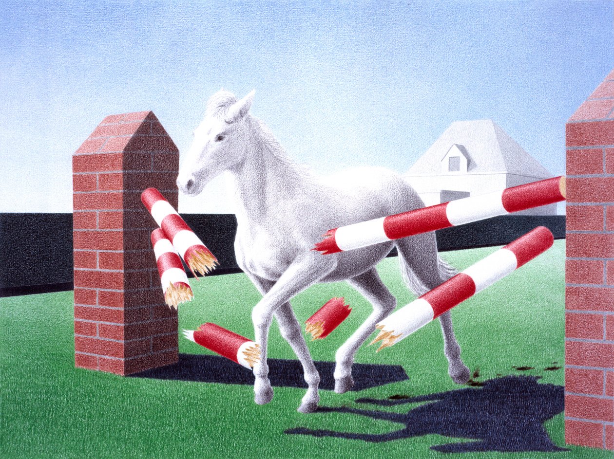 障害物, 2004, 色鉛筆画、紙 作： ルネ・ボアン