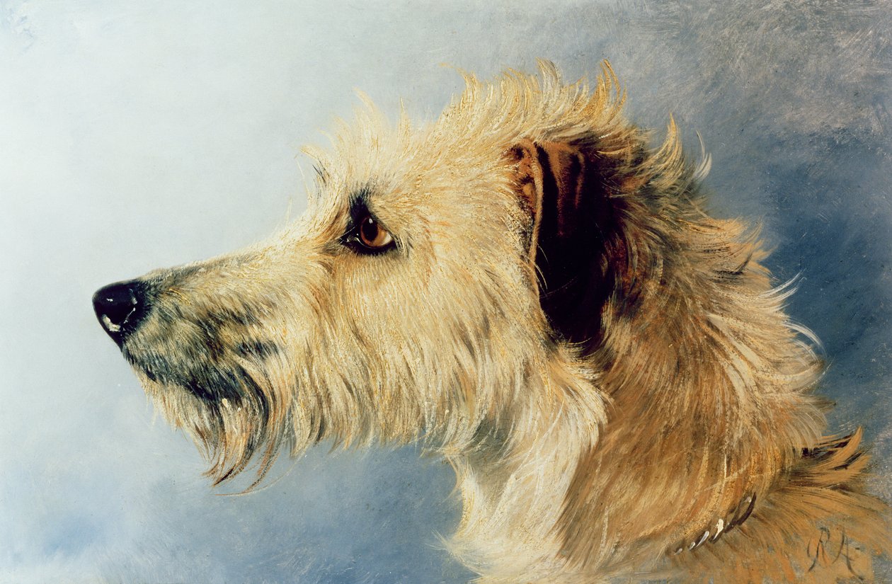 犬の頭 作： リチャード・アンスデル