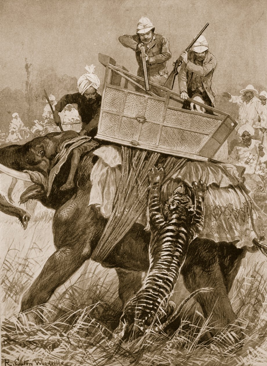 1876年のプリンスオブウェールズのインド訪問：1913年「イラストレイテッドロンドンニュース」より、ネパールテライで虎に襲われた王子の象、2月21日 作： リチャード・カトン・ウッドビル