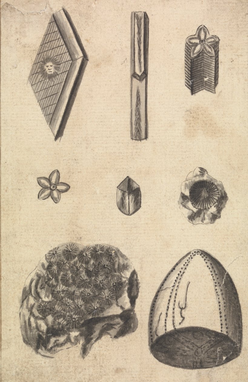 Crystals and Fossils   1436321   ja       japanese Successfully Translated  Original: The cardinal and the bishop Translat: The cardinal and the bishop 1459227 ja japanese Successfully Translated Original: Return from pasture, by Filippo Palizzi (1818-1899 作： リチャードブルックス