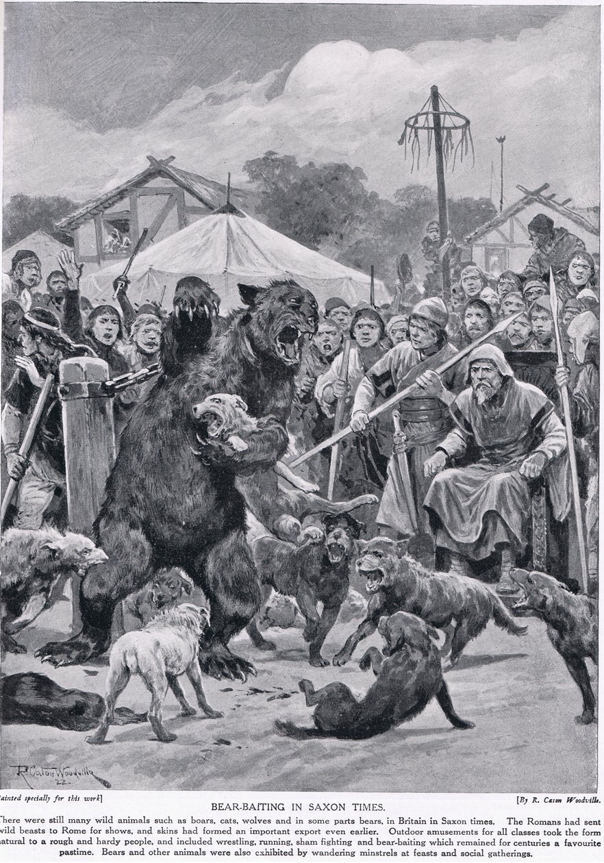 1920年頃の「ハチソンのイギリス国民の物語」より、サクソン時代のクマの餌食 作： リチャード・カトン・ウッドビル