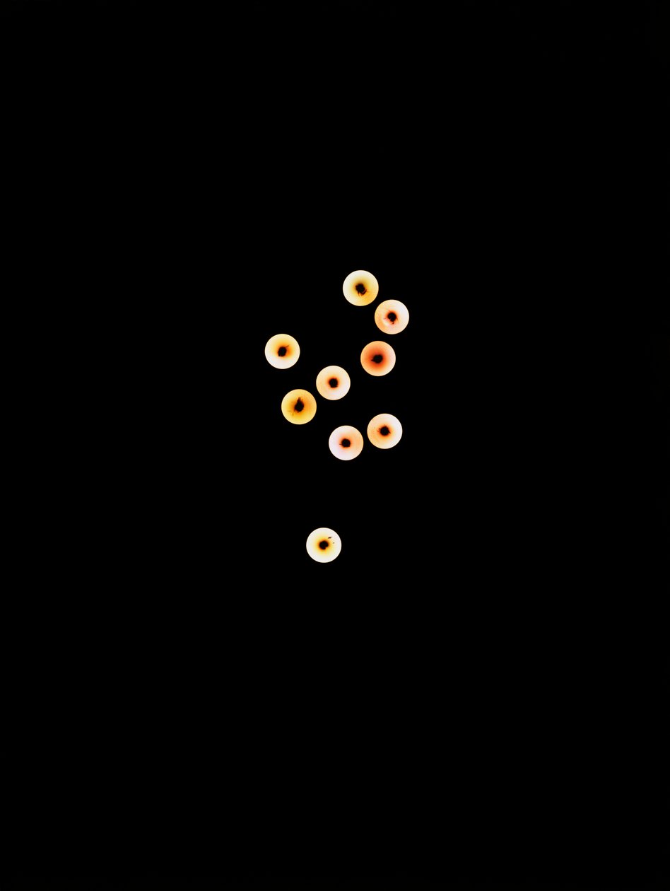 無題, 2008 作： リチャード・グリーン