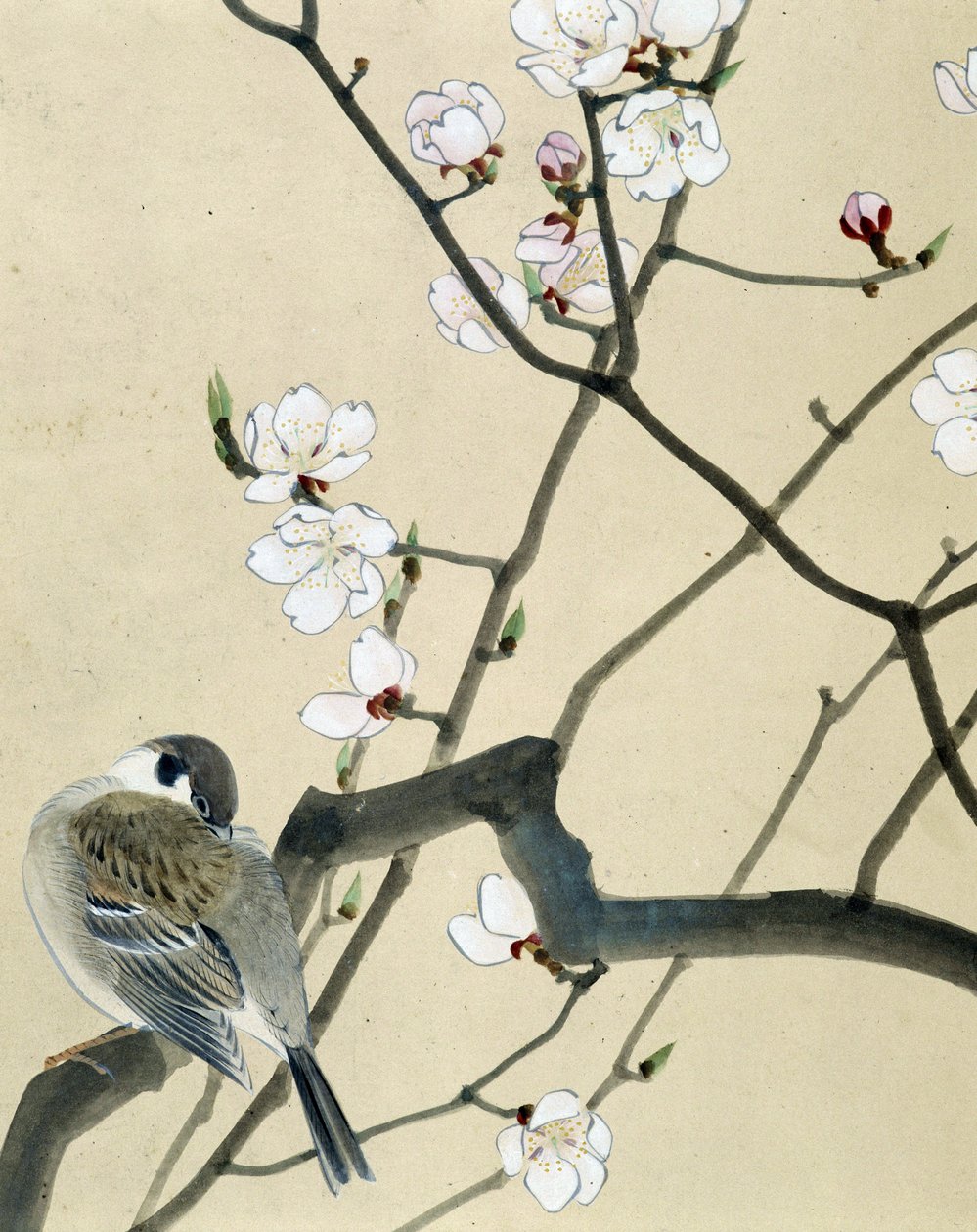 鳥 - リウ・チムによる日本画、19世紀後半 作： リウチム