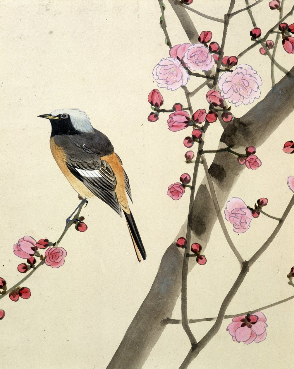 鳥 - リウ・チムによる日本画、19世紀後半 作： リウチム