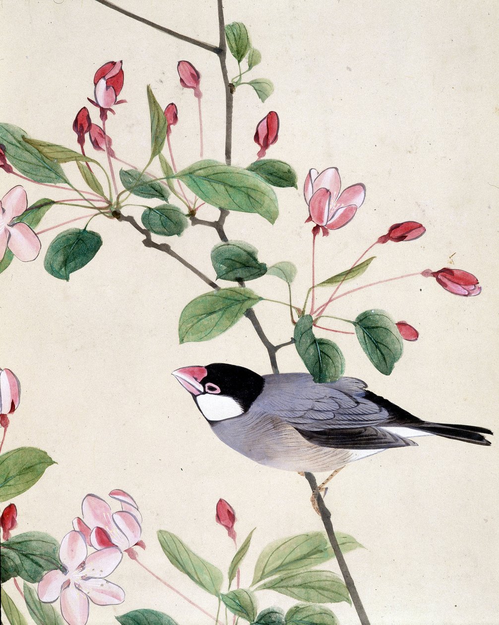鳥 - リウ・チムによる日本画、19世紀後半 作： リウチム