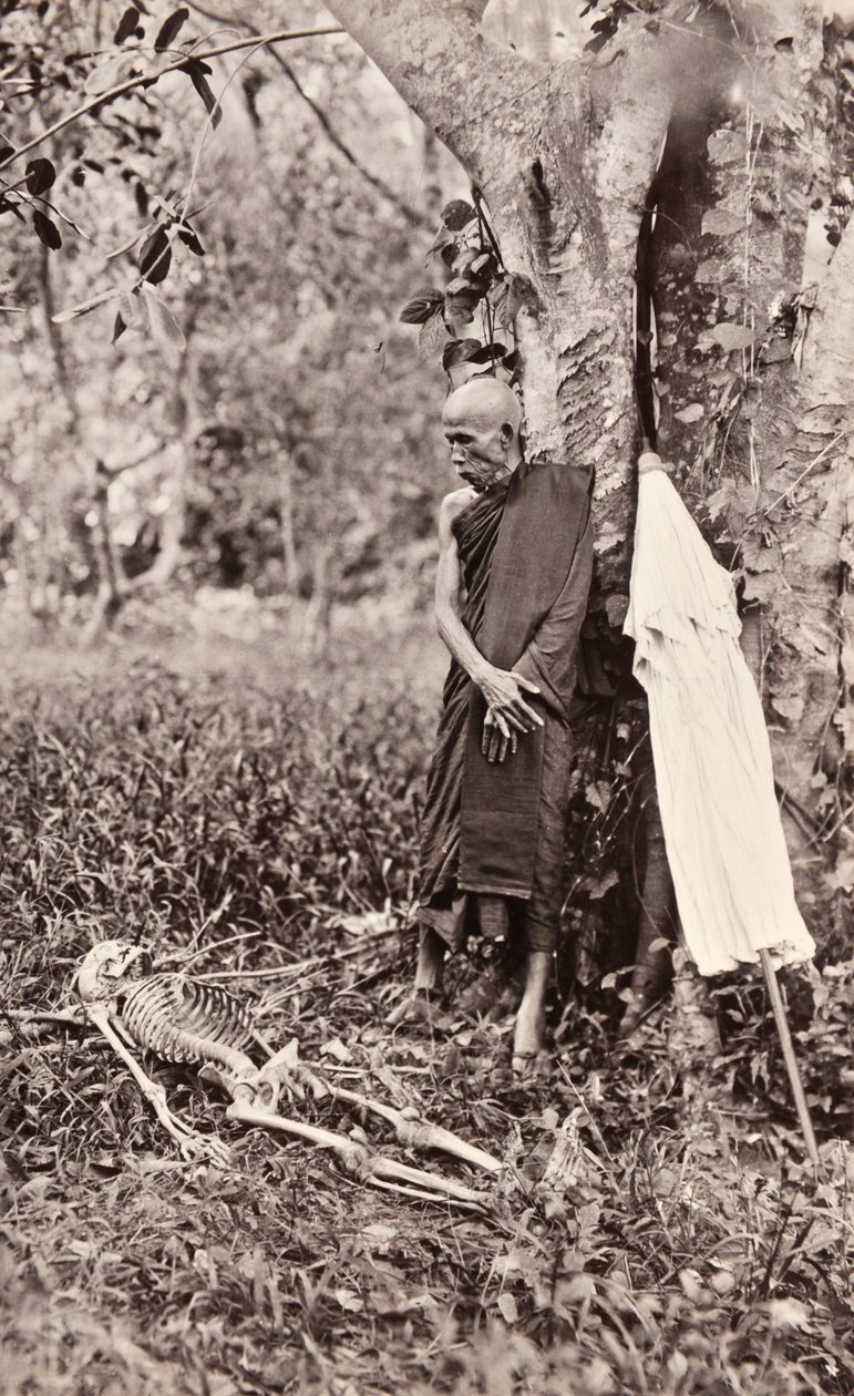 スケルトンを考えている僧侶の象徴的な写真、サイアム、c.1890 作： ロバート・レンツ