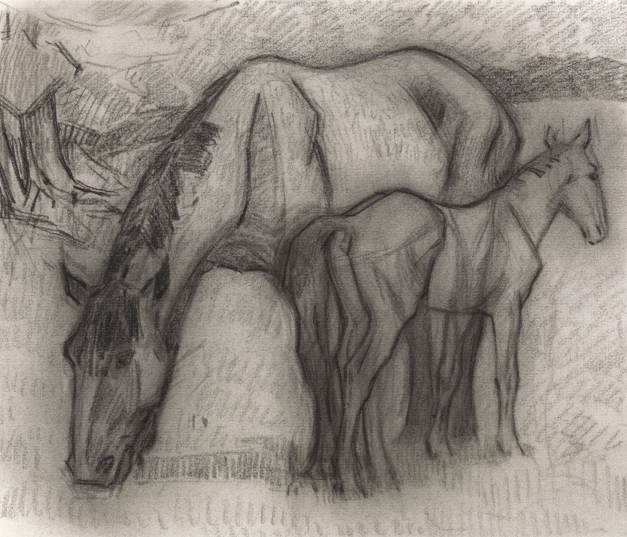 牝馬と子馬の研究、リシェット、クレイヒドン、1917年（紙に黒いクレヨン） 作： ロバート・ポヒル・ベヴァン