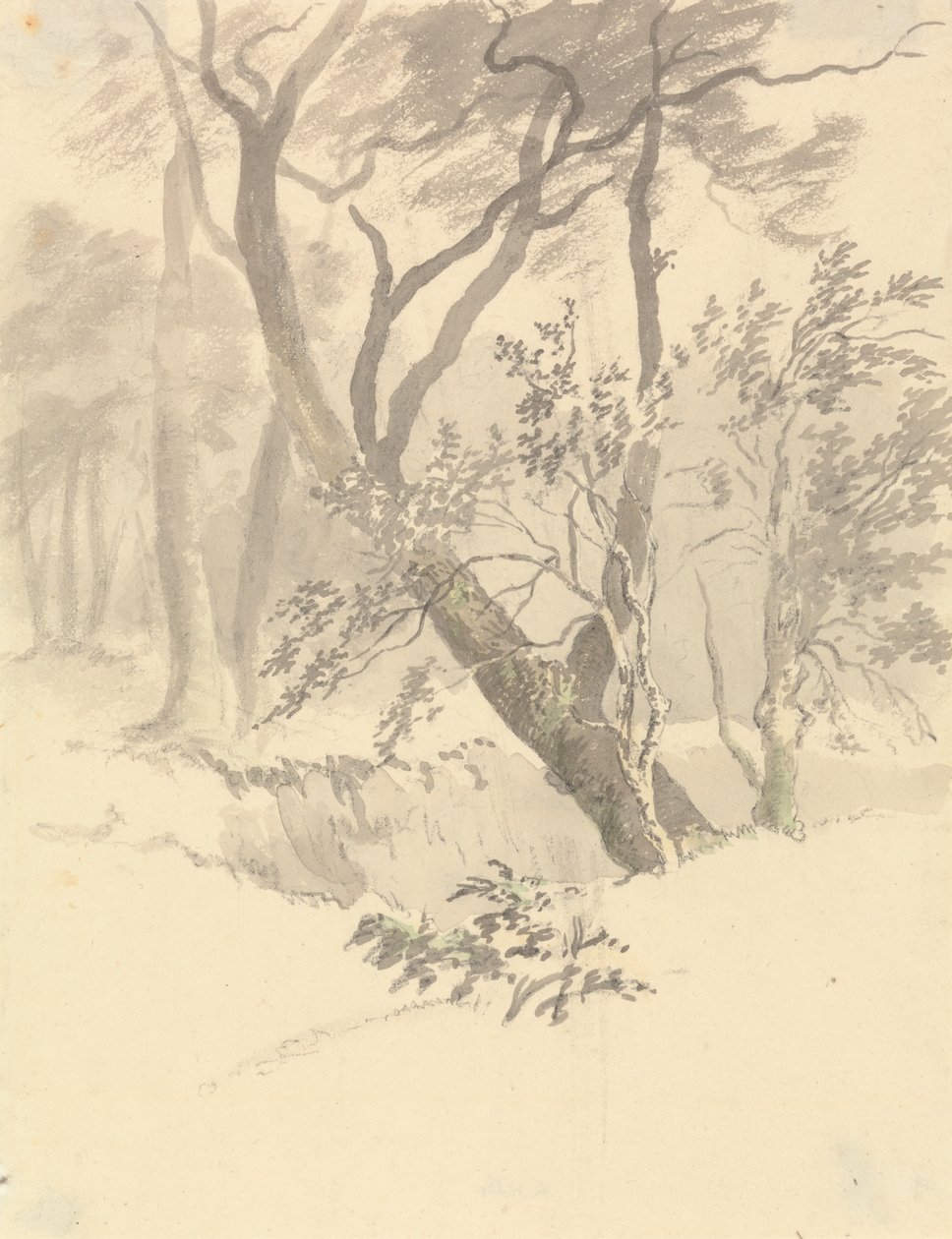 The Wood   1445929   ja       japanese Successfully Translated  Original: Landscape: House and Trees Translat: Landscape: House and Trees 1447103 ja japanese Successfully Translated Original: Black and Arab from Mostaganem (pencil and gouache on paper) Tra 作： ロバート・ヒルズ