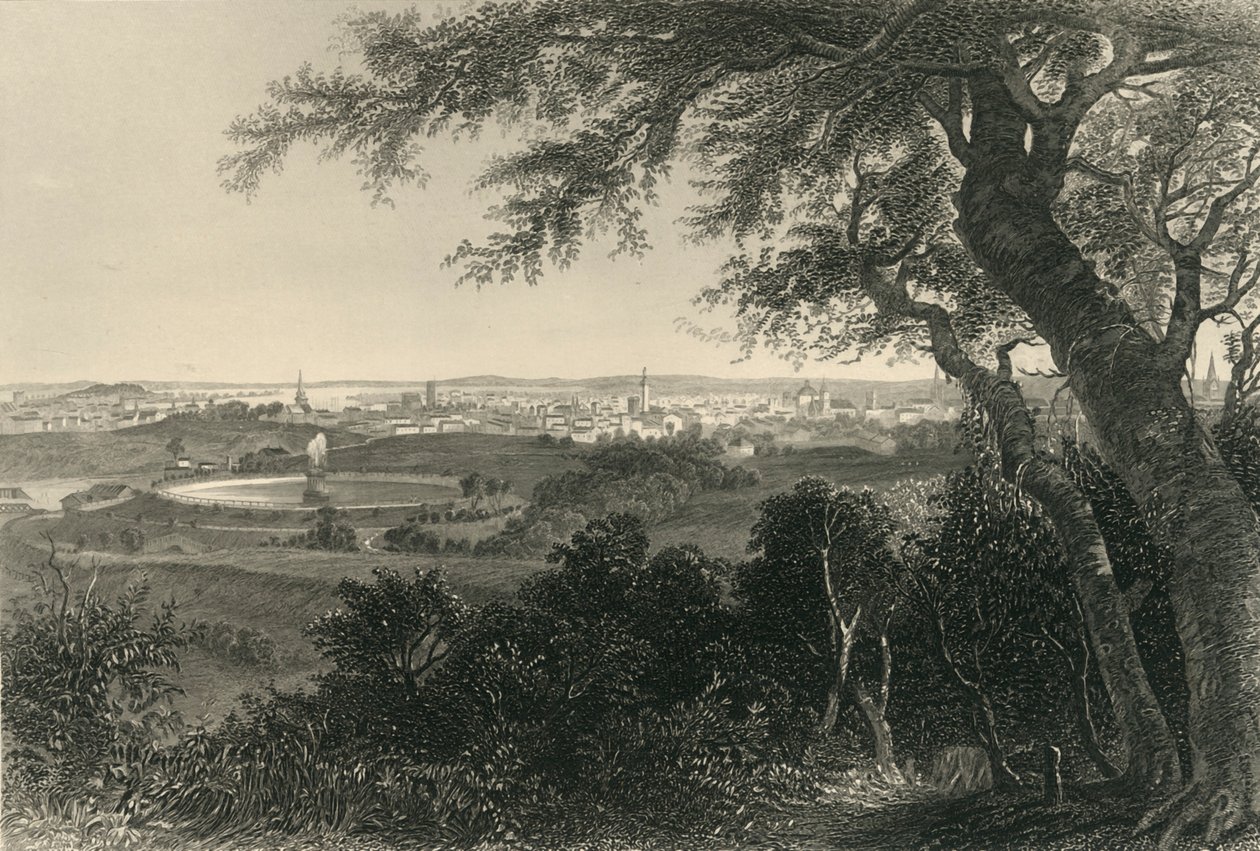「ボルチモア市、ドルイド ヒル パーク」、1874 年。 作： ロバート・ヒンシェルウッド