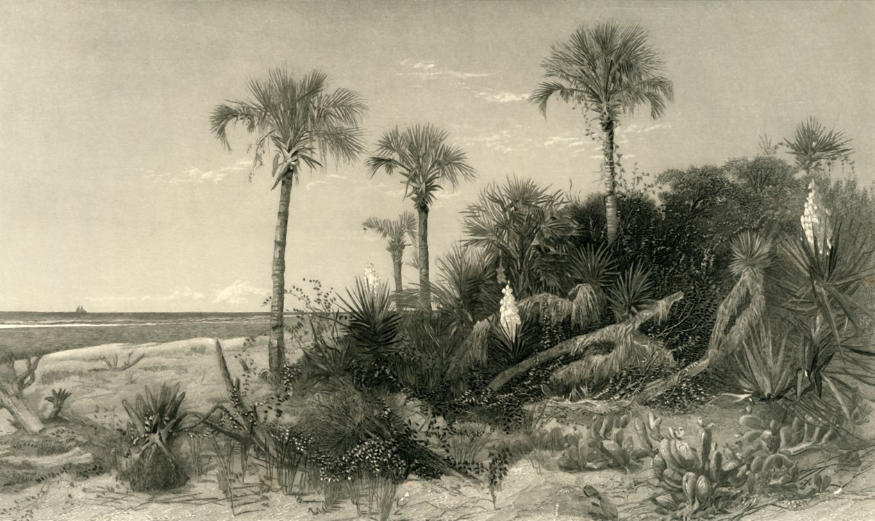 「フロリダの海岸で」、1872年。 作： ロバート・ヒンシェルウッド