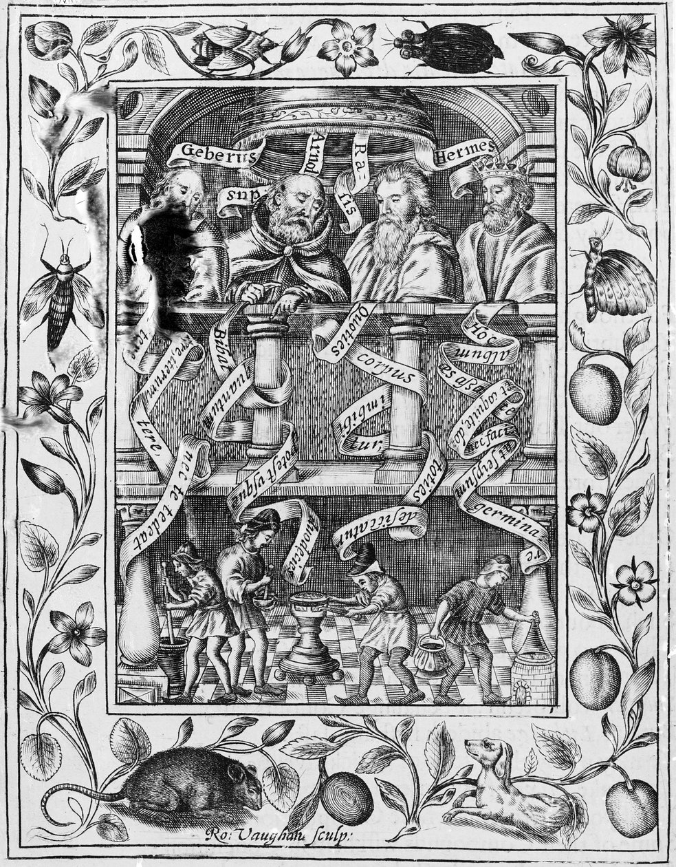 偉大な錬金術師が、Theatrum Chemicum Britannicum、1652年から実験室での作業を刺激 作： ロバート・ヴォーン