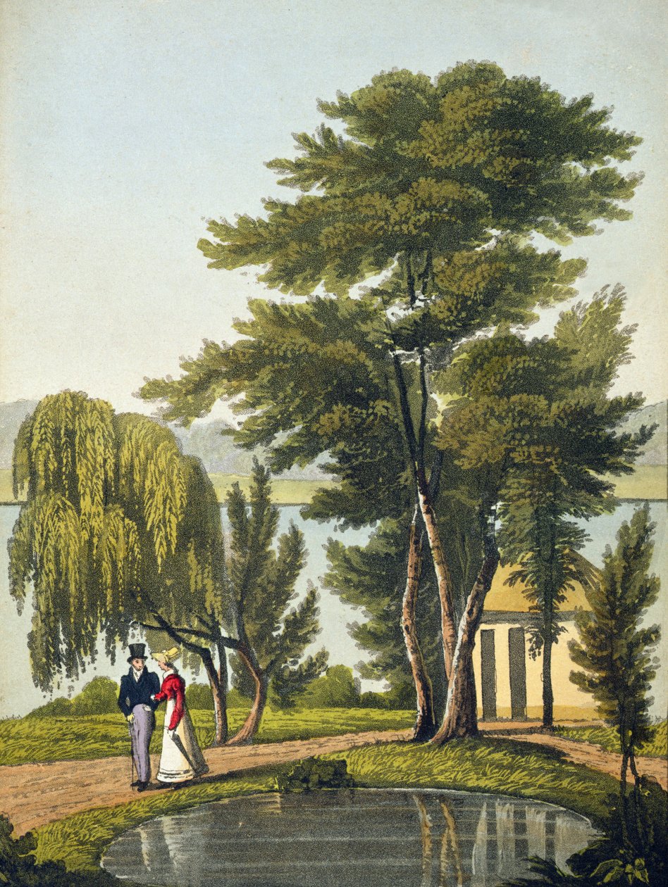 クリフトン、「The Naturama、または、Natures Endless Transposition of Views on the Thames」、c.1825（手塗りのアクアチント）から 作： ロバートザヤングハヴェル