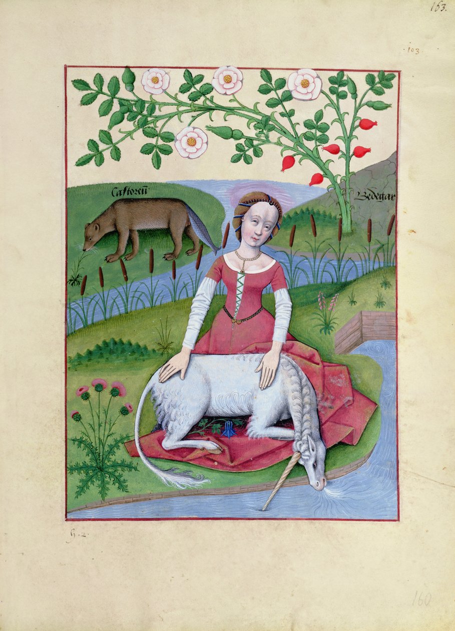 Ms Fr. Fv VI fol.163r挿絵（Mattheaus Plateariusによる単純な医学の本） 作： ロビネット・テスタード