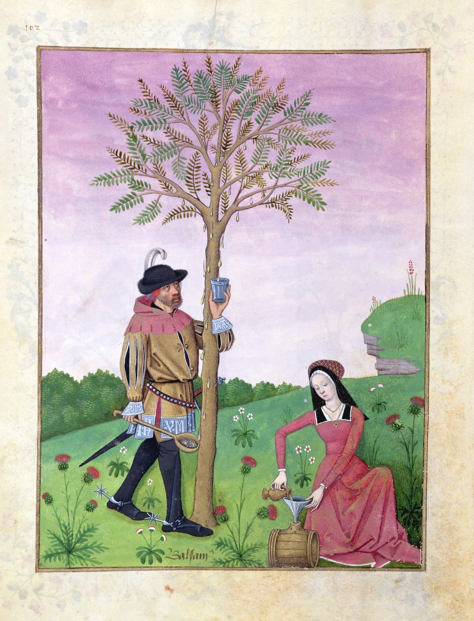 Ms Fr. Fv VI＃1 fol.162v木から樹液を描く、マテウス・プラテアリウスによる「簡単な薬の本」からのイラスト（dc1161）c.1470（ベラム） 作： ロビネット・テスタード