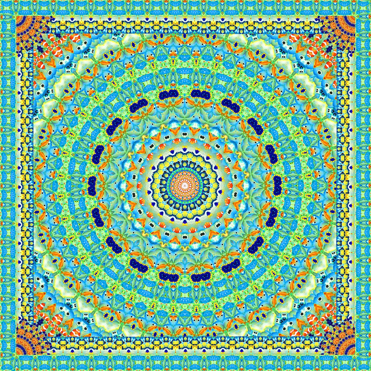 熱帯魚ホイールタイル 作： ロビン・パーカー