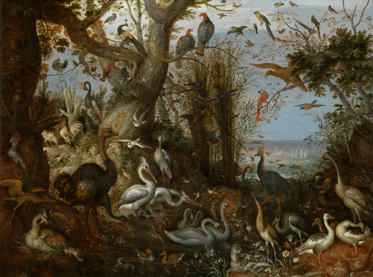 家禽類 作： ローランド・ヤコブス。 Savery