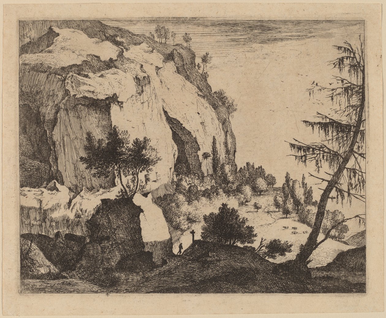 モミのある岩の風景: pl.4 作： RoelantRoghmanとMelchiorKüsel