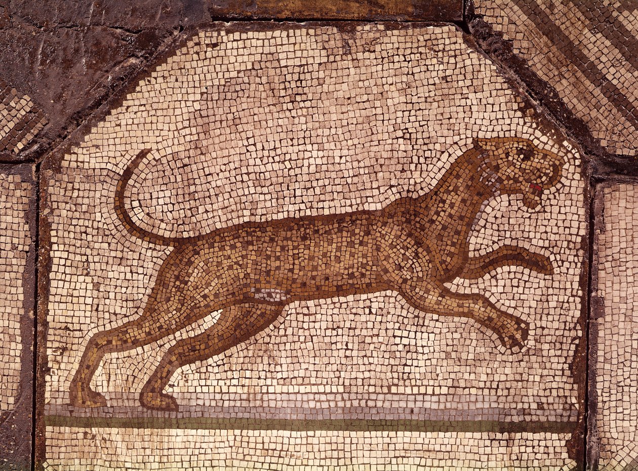 ヒョウ、動物を魅了するオルフェウスの詳細（モザイク） 作： 小説