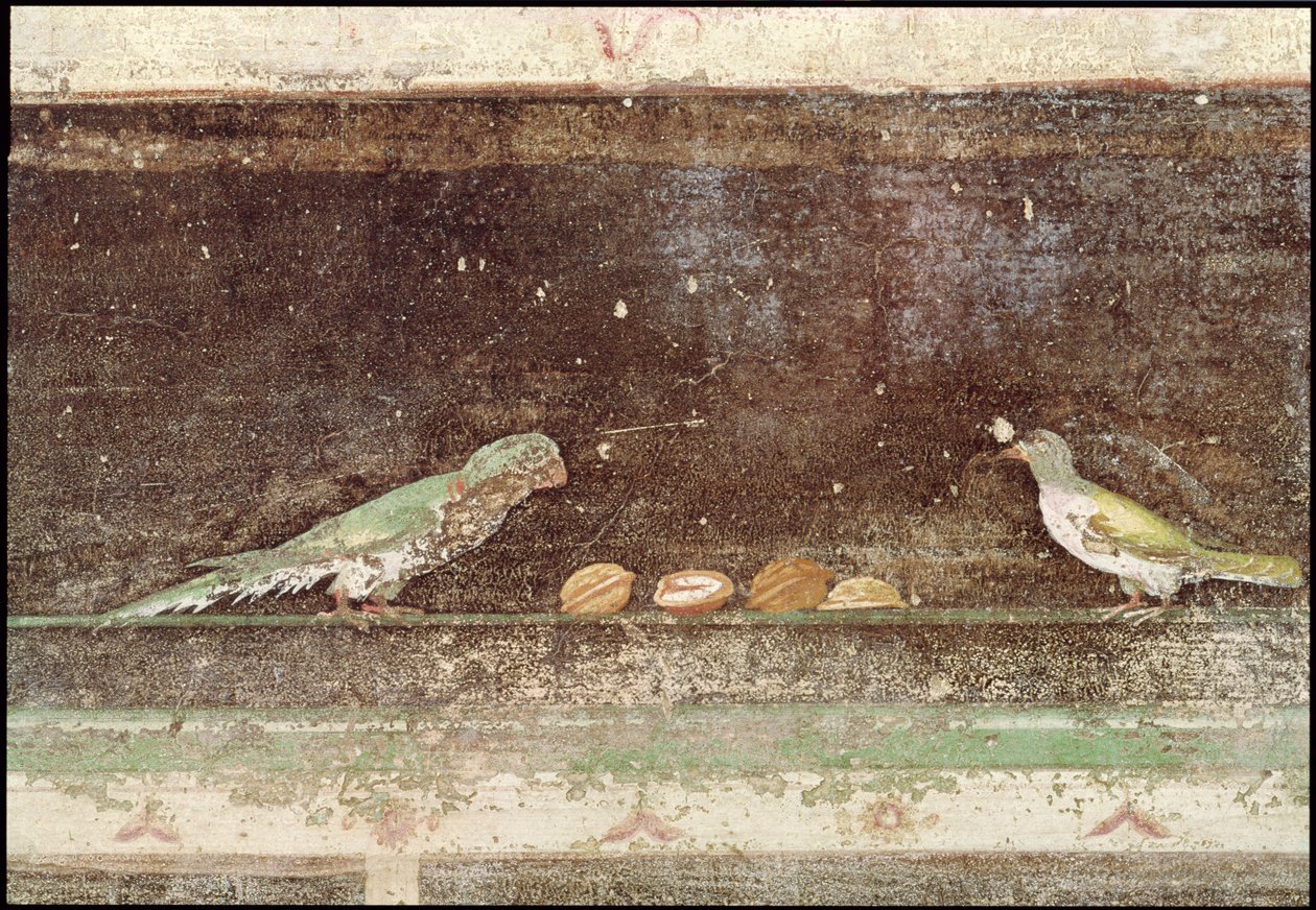 ナッツを食べる鳥、エジプト風の絵画で飾られたタブリニウムの細部、紀元前27-14年頃 作： 小説