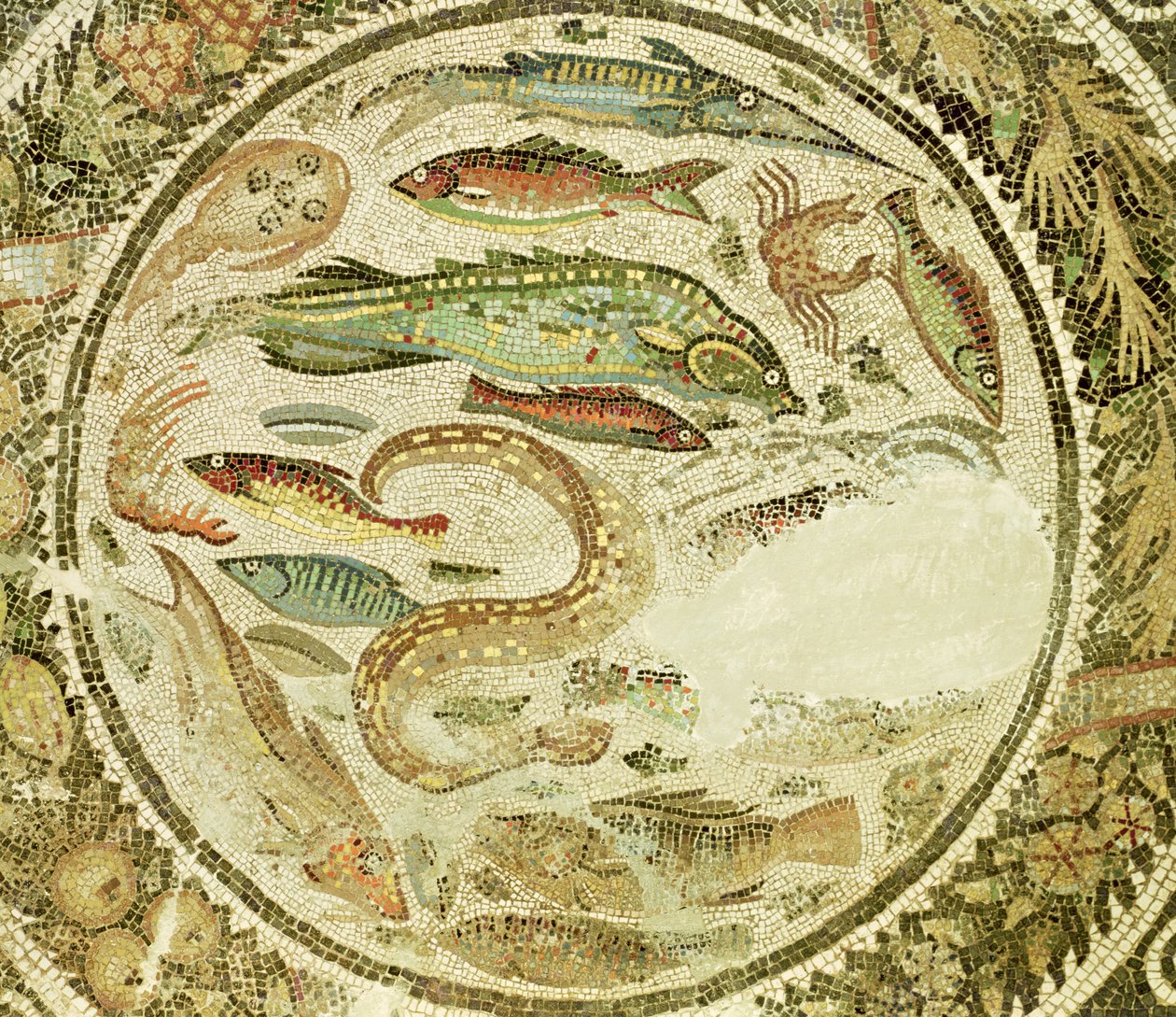 ベガバハモザイクからの魚、四季の詳細 作： 小説