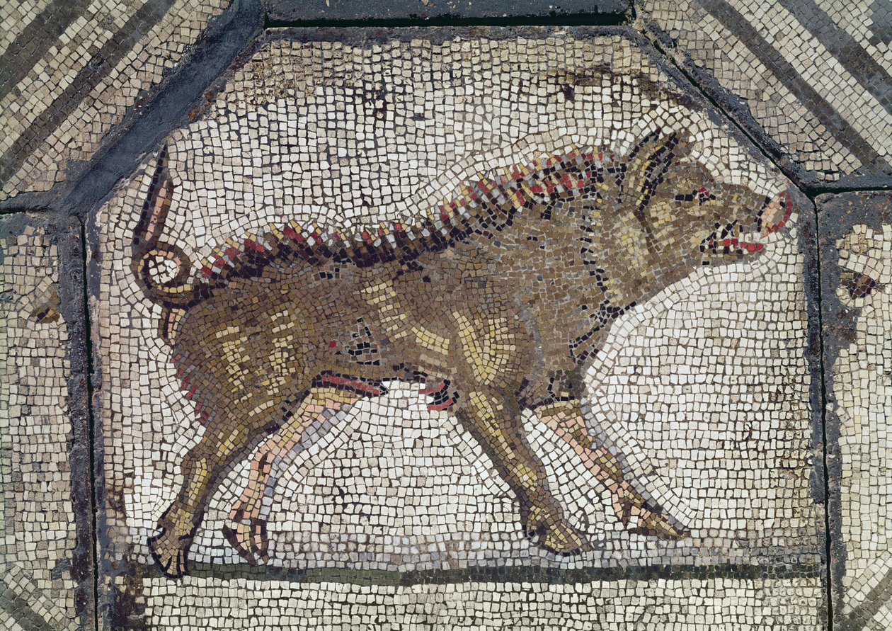 動物を魅力的なオルフェウス、イノシシのモザイクの詳細 作： 小説