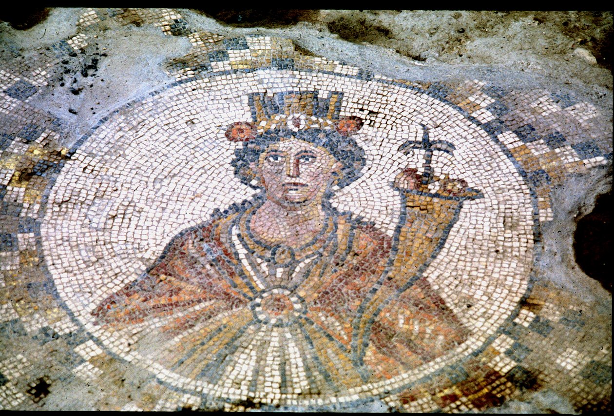 Tyche（モザイク）の肖像 作： 小説