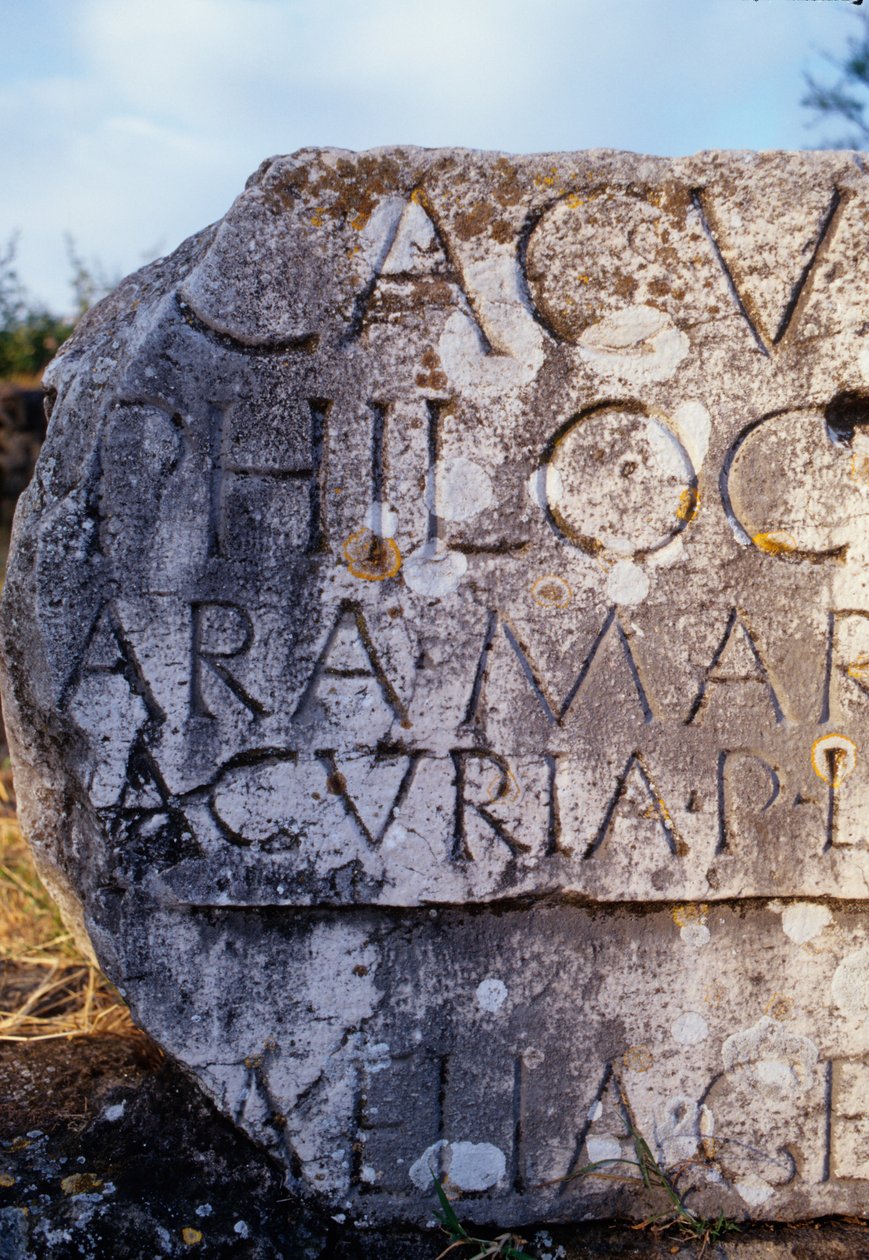 Appian Wayのテキストを含む墓片 作： 小説