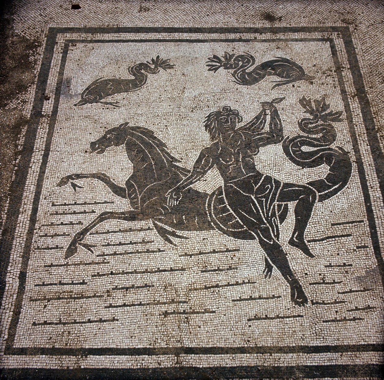 古代のオスティア（Ostia）。Place des Corporations（企業広場）。サブラータ船員公社のモザイク。天女と海馬。 作： 小説