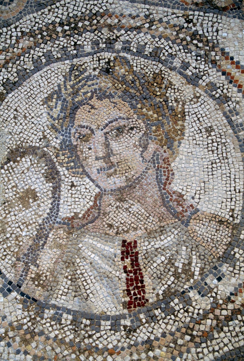 女性の顔、ローマ時代の都市ヴォルビリスのモザイク画（ユネスコ世界遺産登録 作： 小説