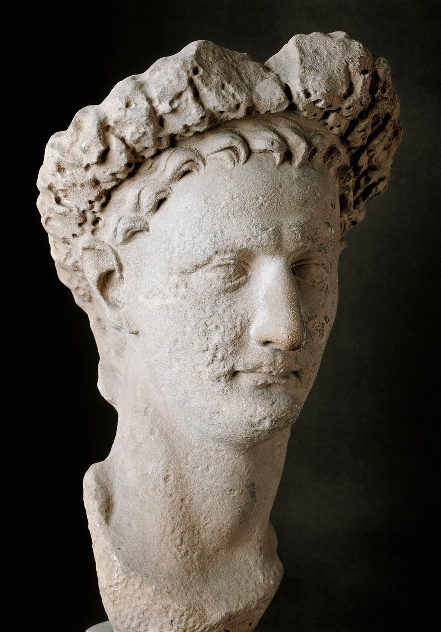 ローマ皇帝ドミティアヌス（Titus Flavius Domitian）の大理石の頭部（紀元51-96年） Rome, Museo Nazionale Romano - Head of Domitian (Titus Flavius Domitian) (51-96 A.D.).大理石製。イタリア、ローマ、ナツィオナーレ・ロマーノ美術館（Museo Nazionale Romano 作： 小説