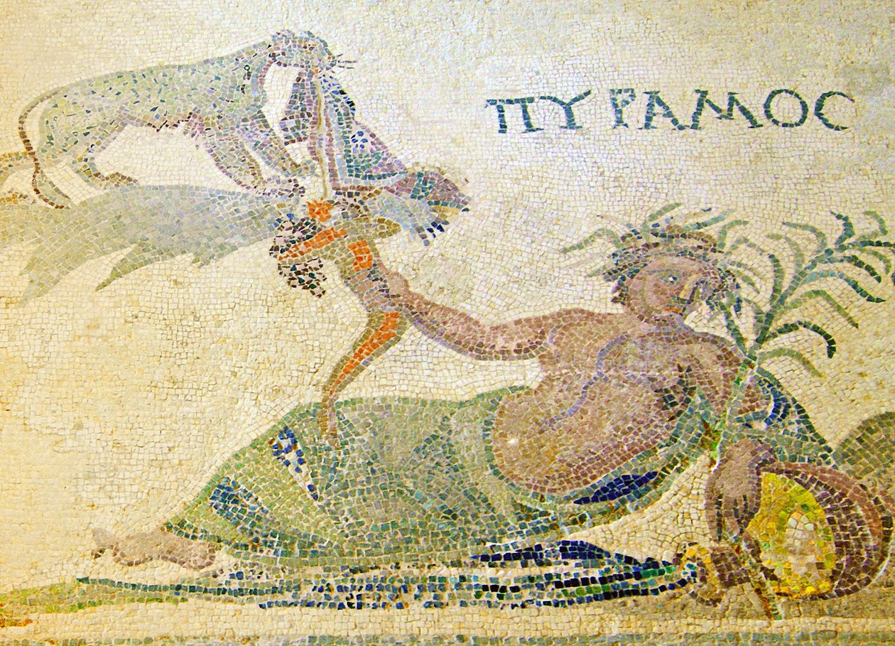 Pyramus and Thisbe、ピラミッドとヒョウの詳細、ハウスオブディオニソス、パフォス、キプロスモザイク 作： 小説