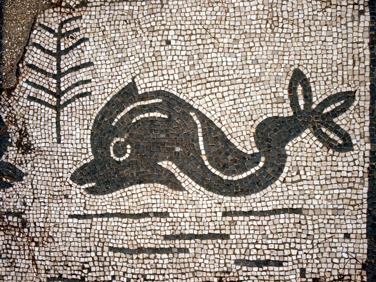 オスティア（Ostia）anticaのCorporazioniの広場のモザイクの後のイルカの表現。 作： 小説
