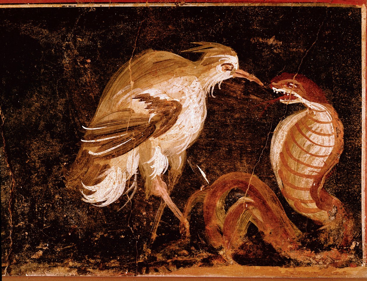 ローマのアート"Fight between a heron and a cobra" Roman fresco from the house of the Epigrams, Pompei, Italy (Fight between a heron and a cobra, fresco from the casa degli Epigrammi, Pompeii) 60-80 A.D. 作： 小説