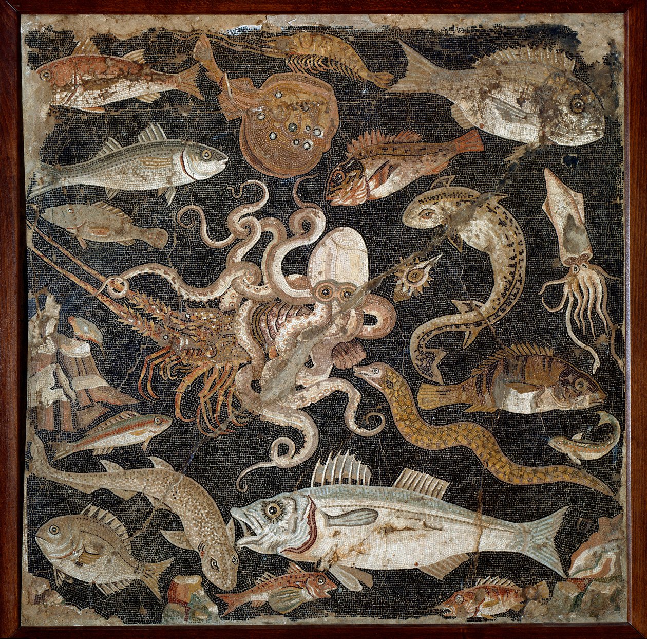 ローマ時代のアート。2世紀の "海洋動物 "モザイク。ナポリ、Museo Archeologico Nazionale, inv.120177 - ローマ美術。海洋生物。紀元前2世紀のモザイク。国立考古学博物館、inv.120177、ナポリ、イタリア。 作： 小説